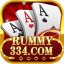 rummy net icon