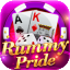 play indian rummy online icon